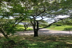 LOT FOR SALE IN AYALA WESTGROVE HEIGHTS ,SILANG CAVITE