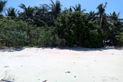 For Sale Beachfront Property in Nangalao Island, Palawan