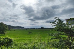 2.2 Hectares of Possibilities: Commercial Land in Rizal for SALE